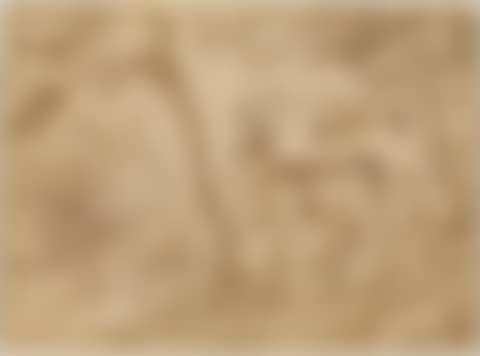 River landscape with deer. (preview)