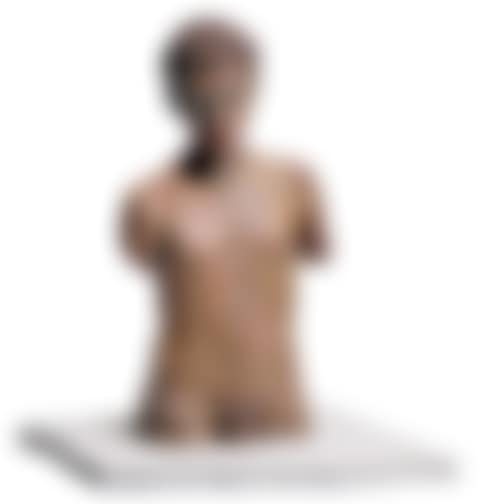 Männlicher Torso (preview)