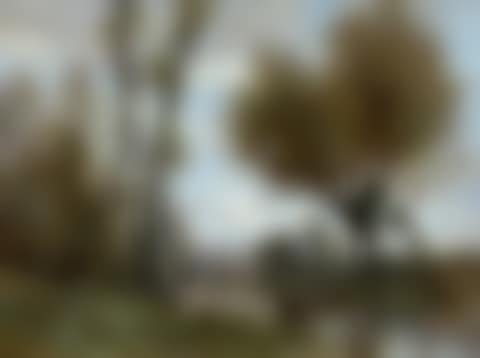 Le faucheur et un rameur sur la rivière (preview)
