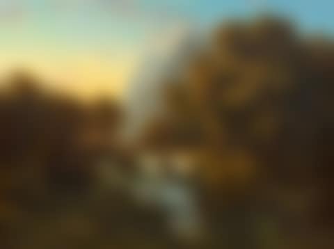 A wooded mountain landscape with stream (preview)