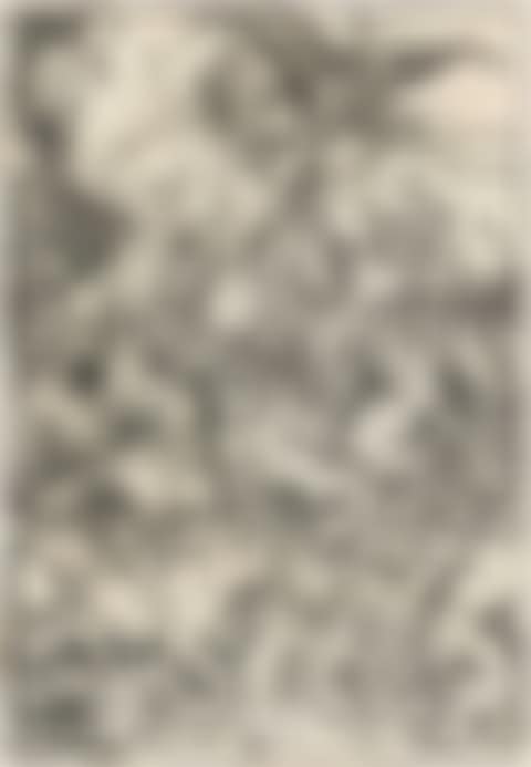 The horsemen of the apocalypse; Sheet 5 of the series: The Apocalypse (preview)