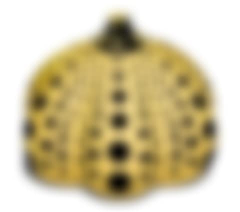 Pumpkin (yellow/black). (preview)