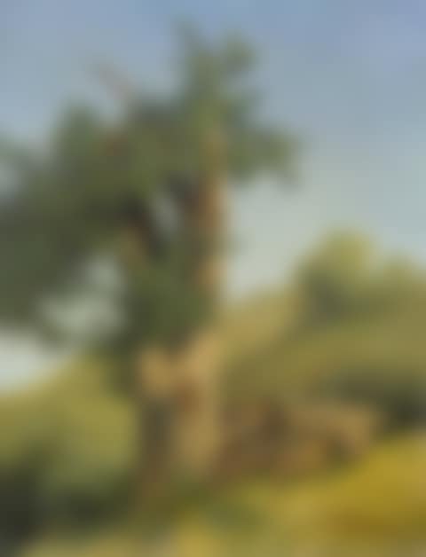 Arbre (preview)