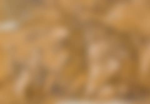 The temptation of Christ in the wilderness. (preview)