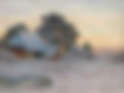 A winter landscape (preview)