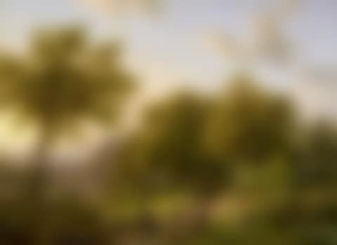 River landscape with woodland (preview)