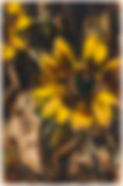 Sonnenblumen (sunflowers) (preview)