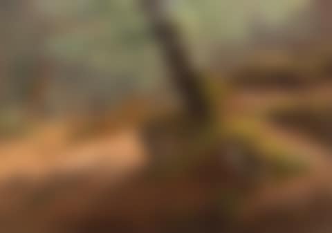 Arbres et Rochers (preview)