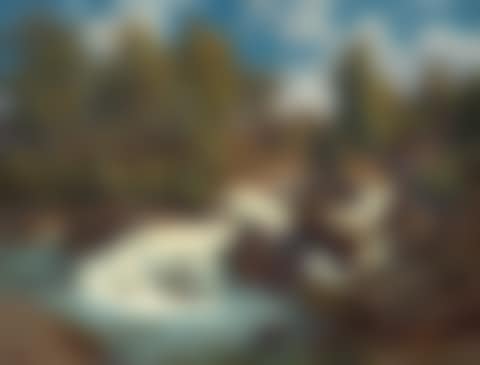 Gebirgsbach (Alpine stream). (preview)