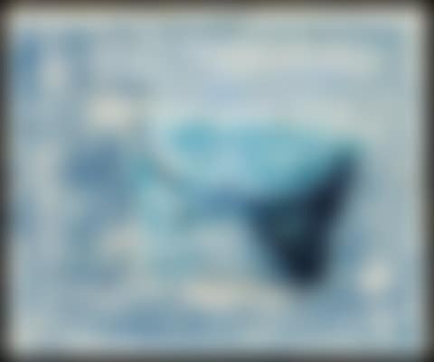 La passoire (preview)