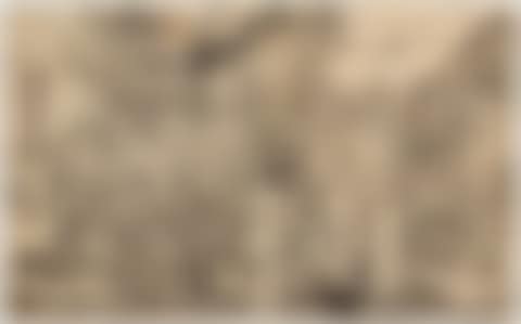 The adoration of the shepherds (preview)