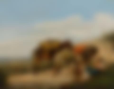 Sleeping traveller with two donkeys, a horse and a turkey (preview)
