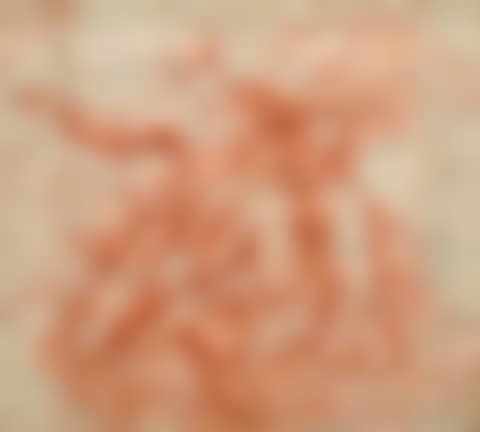 Ceiling with figure studies (preview)