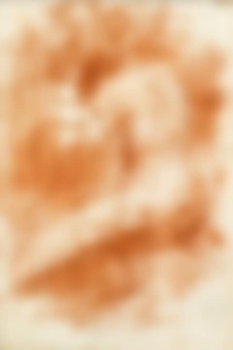 Female nude from the back (preview)