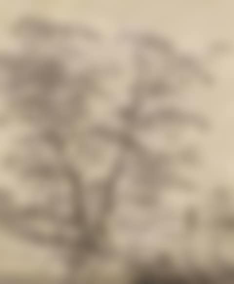 Broad landscape with tree by the water and a path with passers-by (preview)
