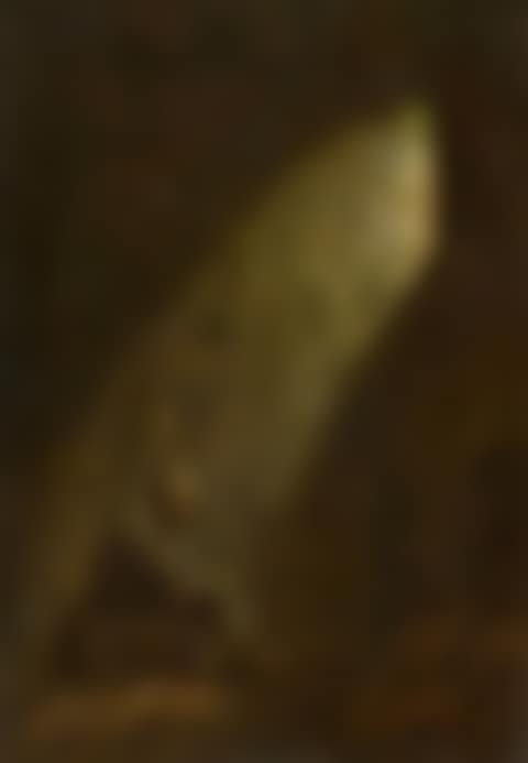 Ash Wednesday (preview)