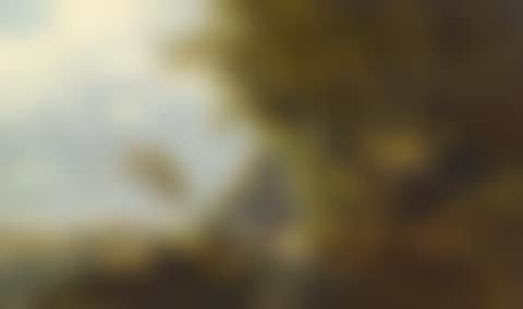 A wooded landscape with woman walker (preview)