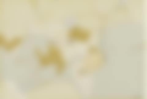 Untitled. (preview)