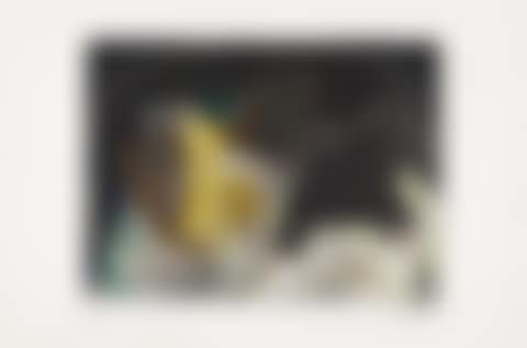 Pichet et oiseau. (preview)