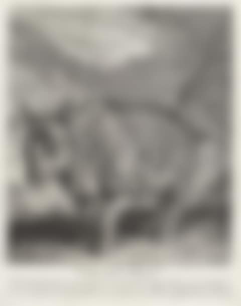 Anno (preview)