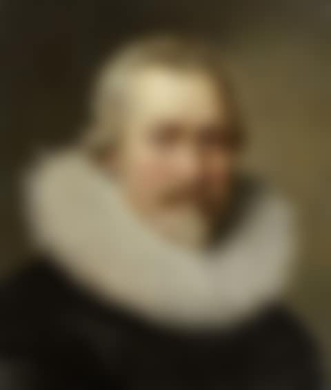 Portrait of a nobleman (preview)