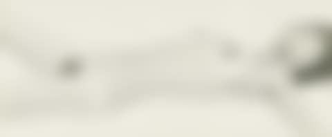 Untitled Nude (preview)