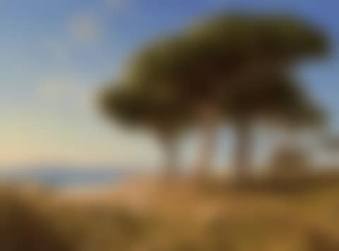 A beach in Cannes (preview)