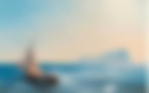 Sailing ships before the coast (preview)