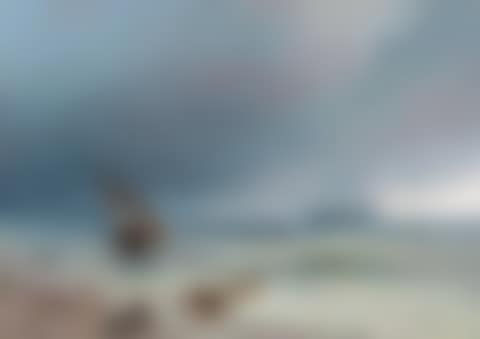 Two sailing ships and a rowing boat with sailors at the coast (preview)