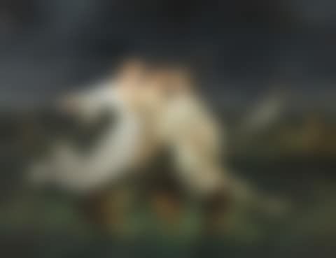 Gnomes and Fairies (preview)