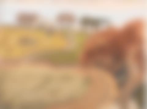 North Rigg Hill (preview)