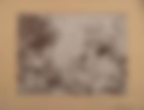 Landscape (preview)