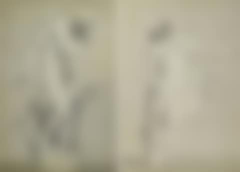 Apollo of Belvedere; Antique statue of a warrior with a lance (preview)