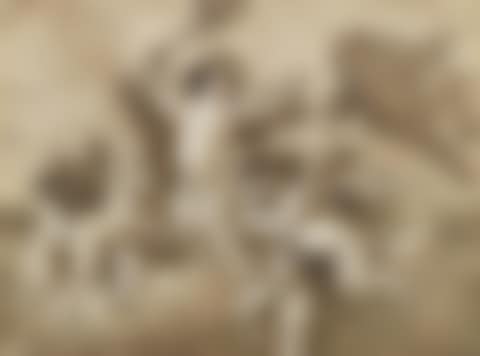 Amorini with burning torch (preview)