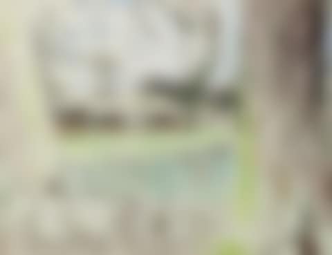 Paysage (preview)