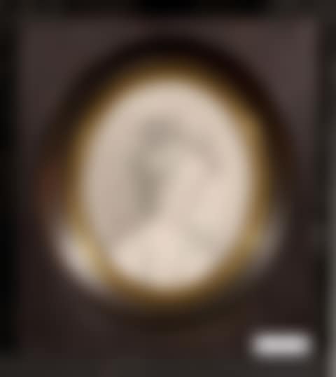 Portrait of a lady (preview)