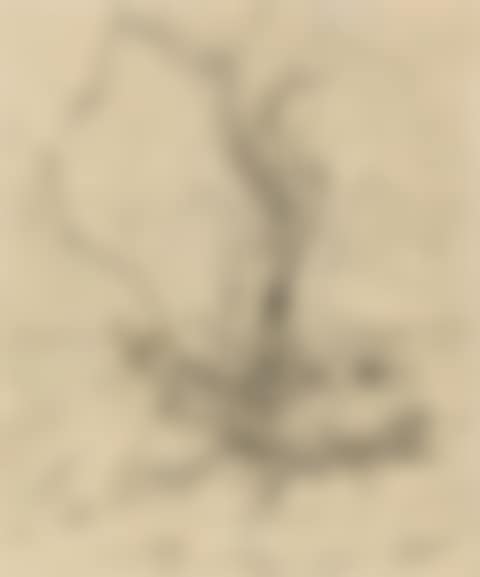 Tree study (preview)