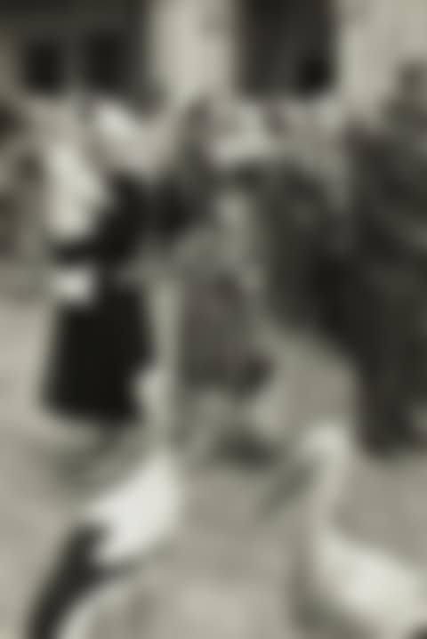 Turkey (preview)