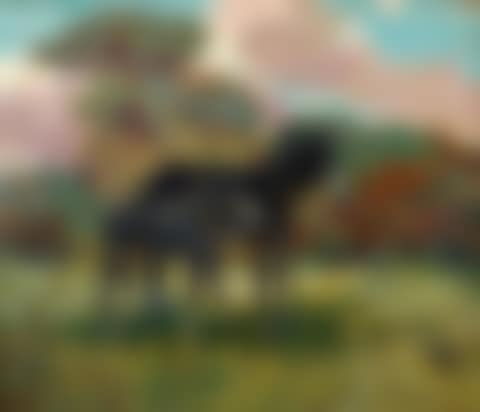 Donkeys (preview)