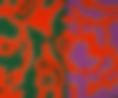 Purple green orange (preview)