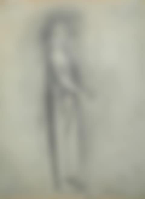 The mother of Jesus (preview)