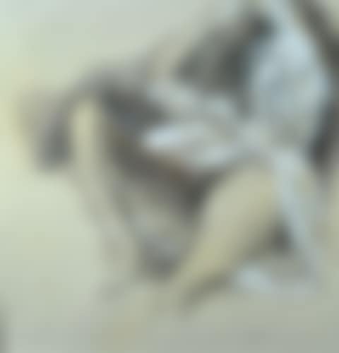 Reclining Nude (preview)