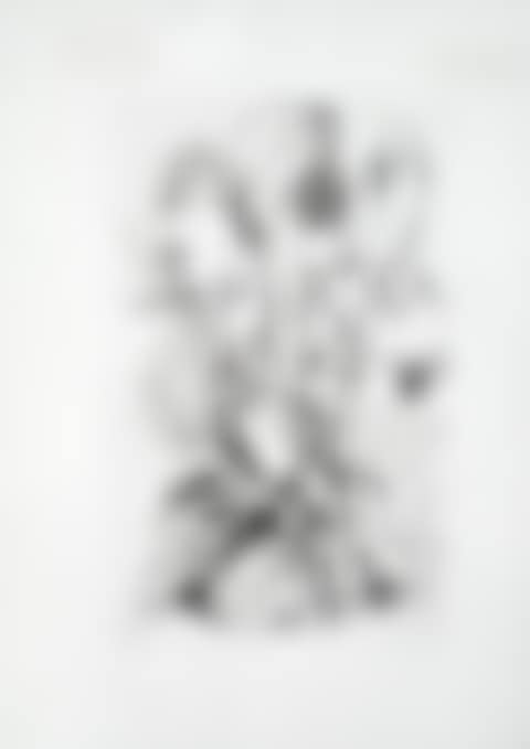 Rose (preview)
