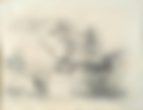 View of the forest with fawns (preview)