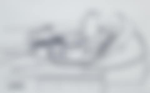 Still life (preview)