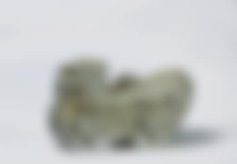 Pho dog (preview)