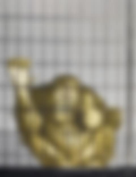 Caged Monkey (preview)