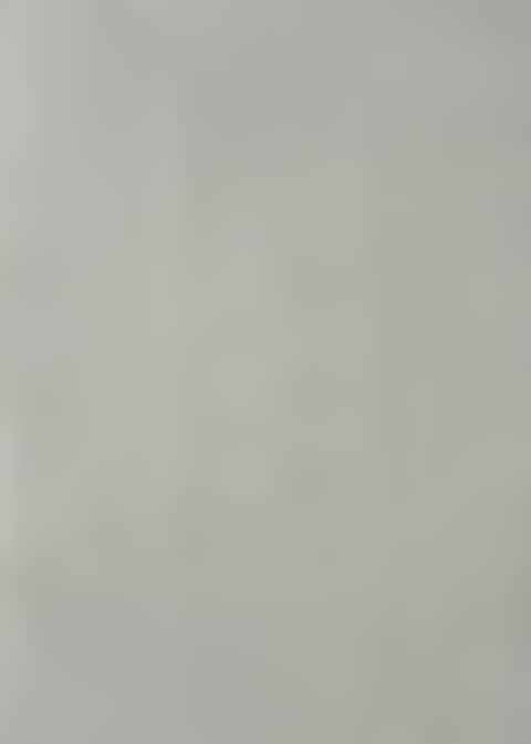 3 White Ovals (preview)