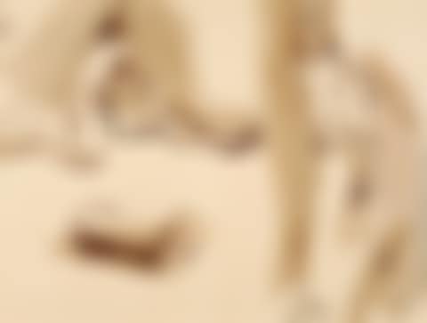 Figures (preview)