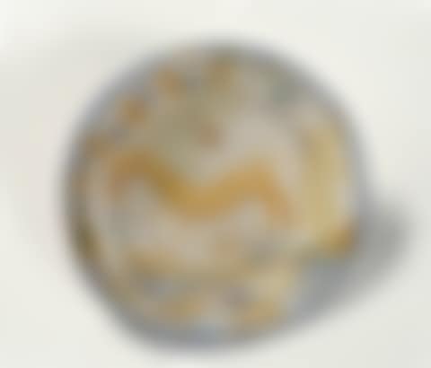 Dish (preview)